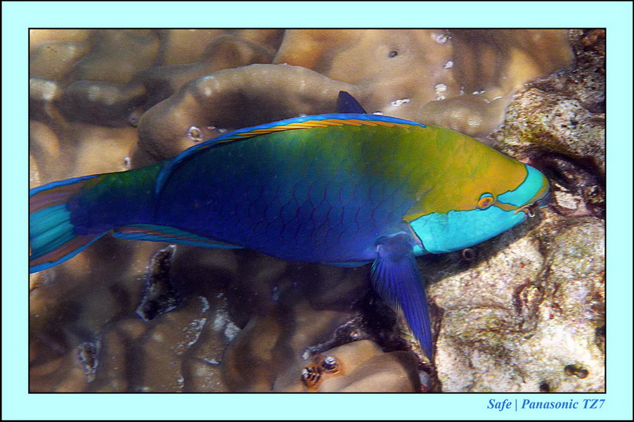 2012 - 03 - Koh Ha 33